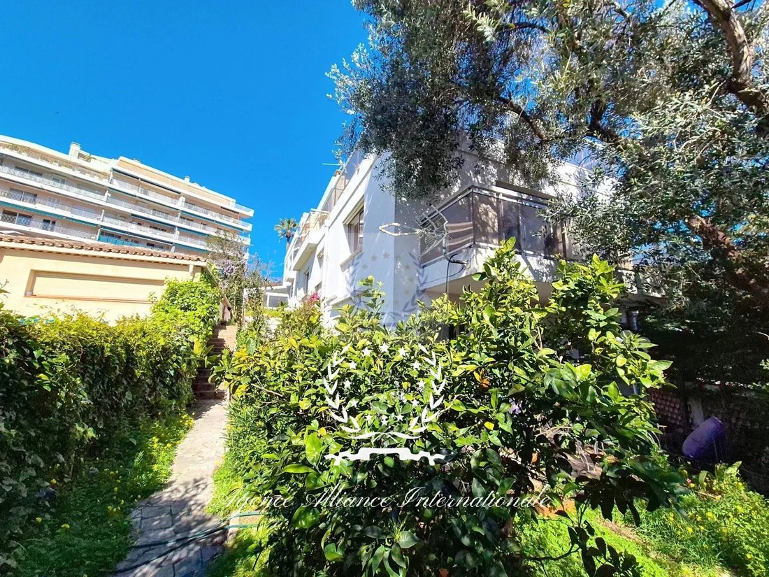 Cannes, Provence-Alpes-Côte d'Azur, France 1 - 15549149