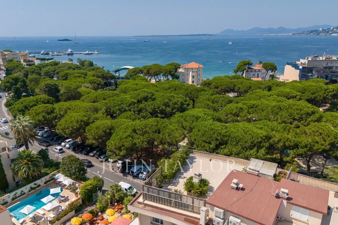 Apartment in Juan les Pins-Gallice, Antibes, France 2 - 14586551