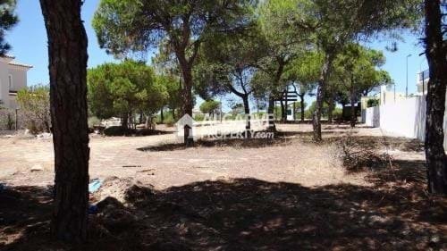 Land in Almancil, Algarve, Portugal 1 - 15546091