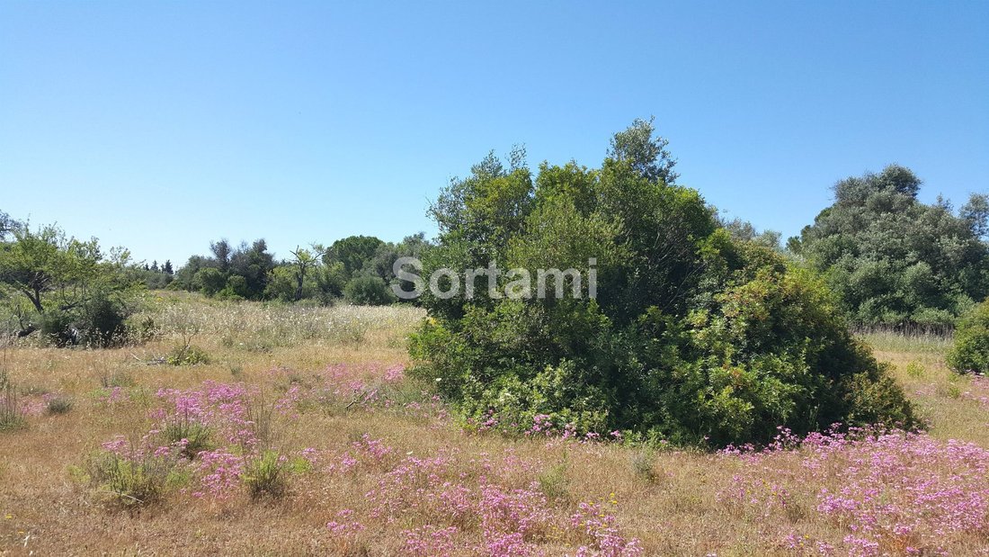Land in Armacao de Pera, Algarve, Portugal 4 - 11344364