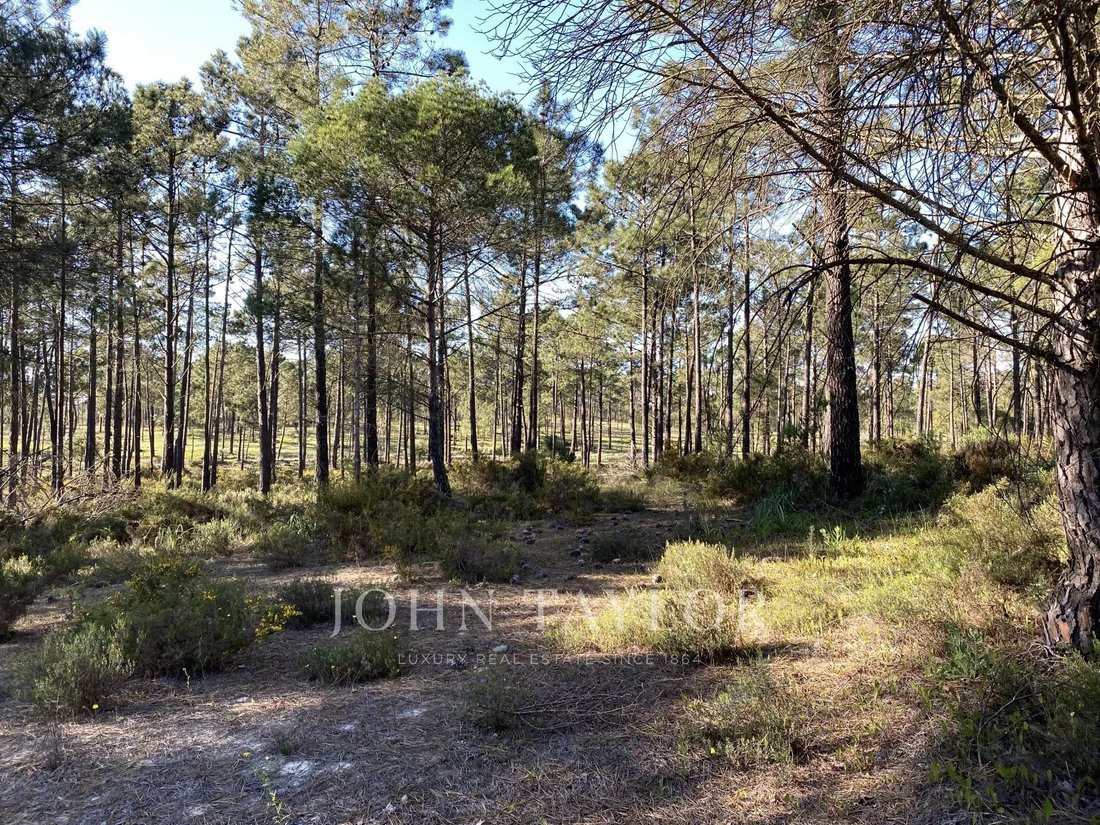 Land in Comporta, Setubal, Portugal 1 - 15038986