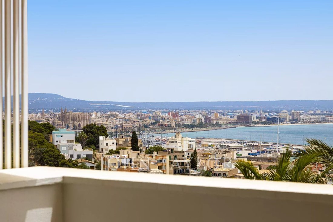 Apartment in Palma, Balearic Islands, Spain 4 - 14440687