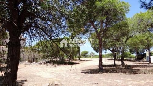 Land in Almancil, Algarve, Portugal 4 - 15546091