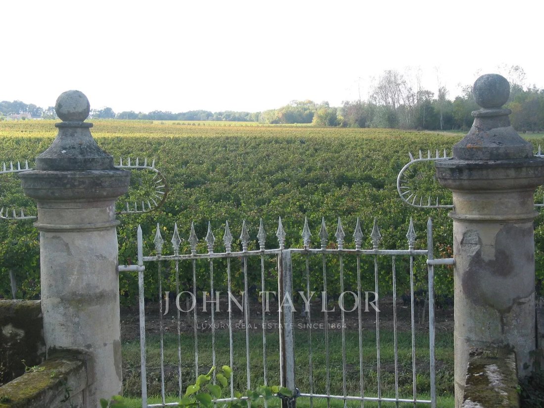 Farm Ranch in Cussac-Fort-Medoc, Nouvelle-Aquitaine, France 4 - 14011214