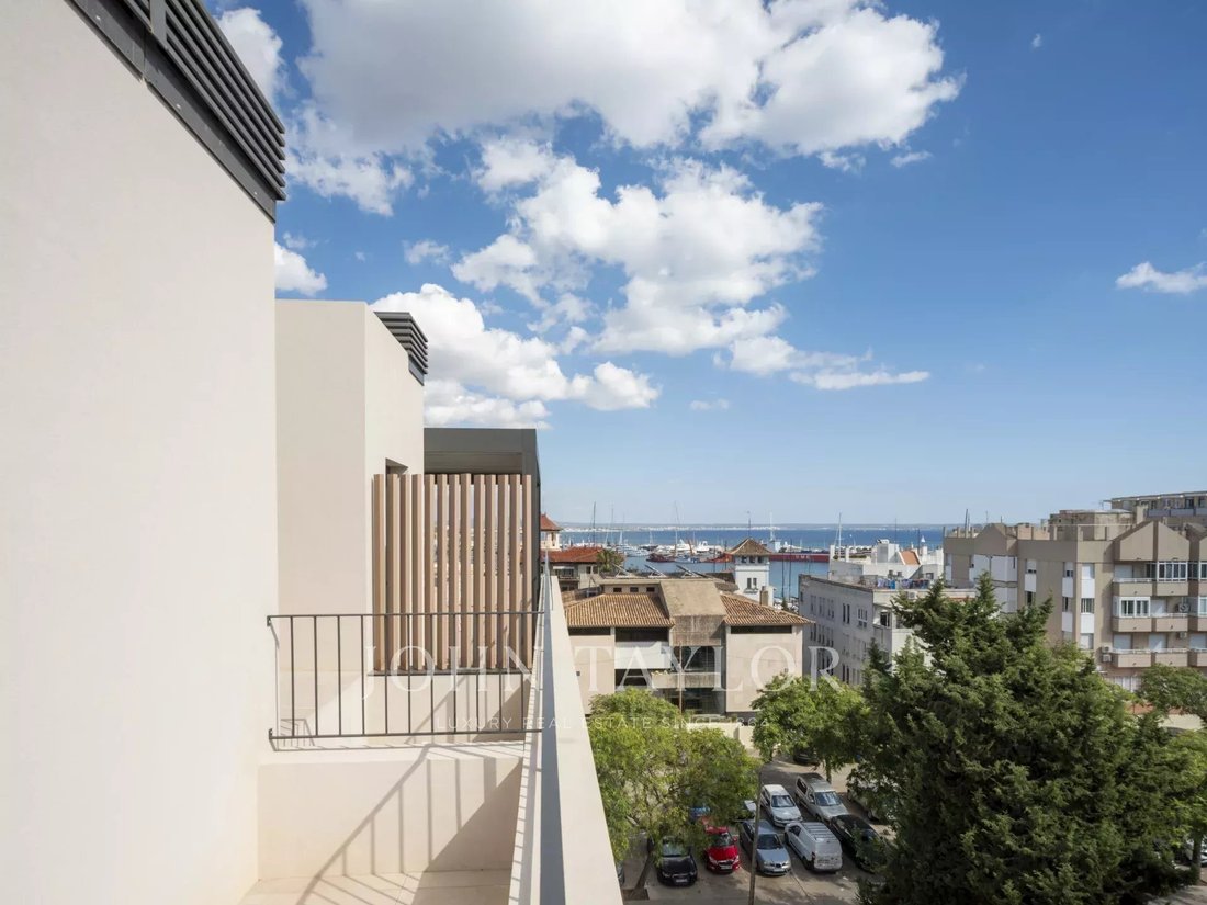 Apartment in Palma, Balearic Islands, Spain 4 - 11924519