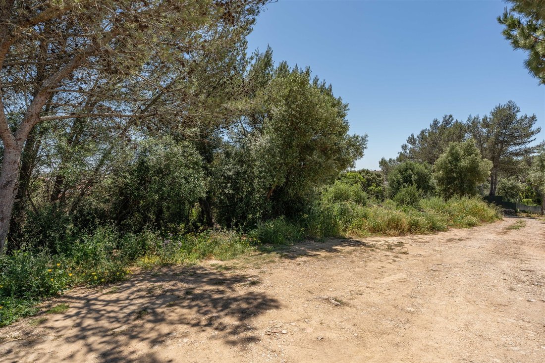 Land in Alcabideche, Lisbon, Portugal 3 - 14404468