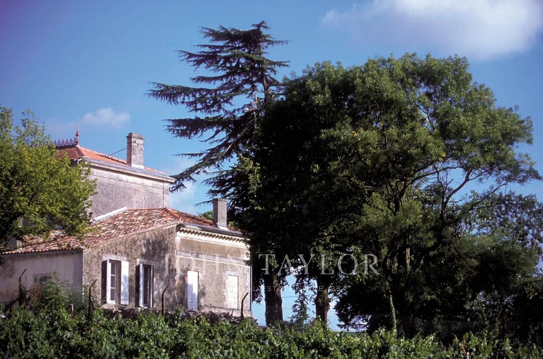Farm Ranch in Cussac-Fort-Medoc, Nouvelle-Aquitaine, France 2 - 14011214