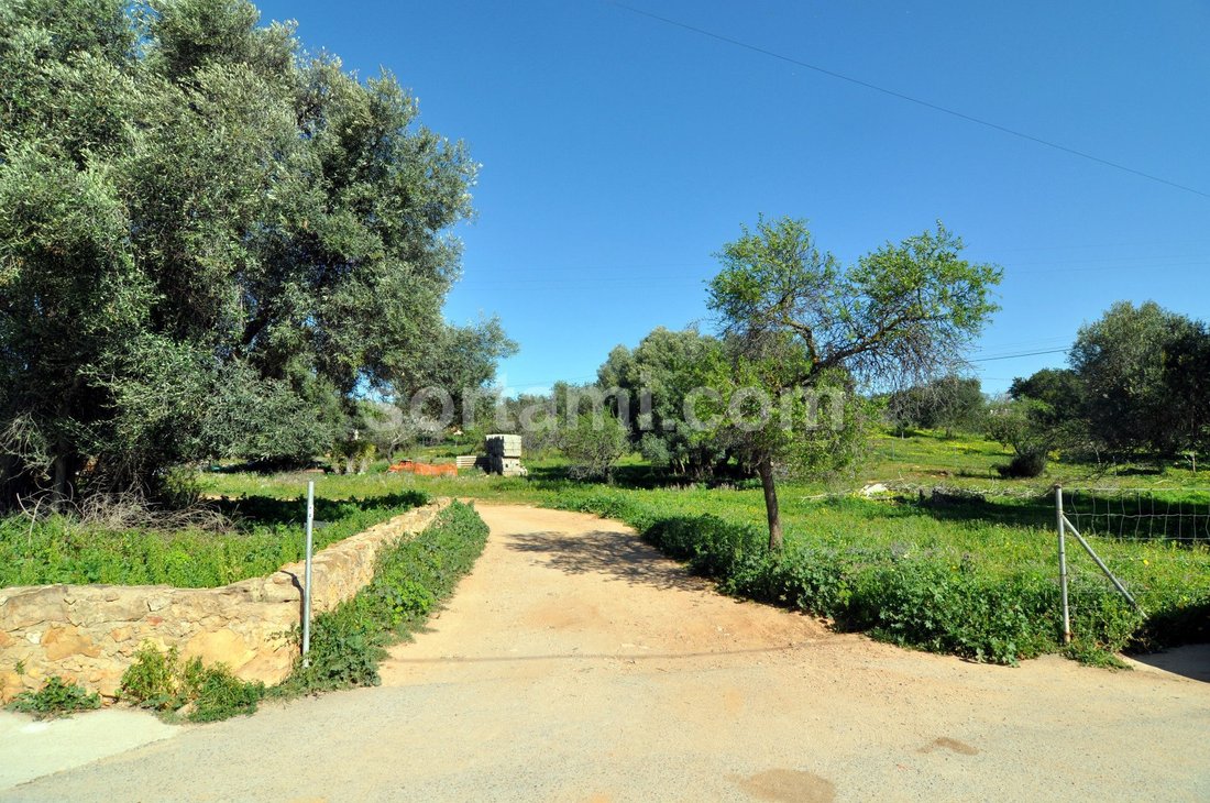Land in Almancil, Algarve, Portugal 1 - 11344523