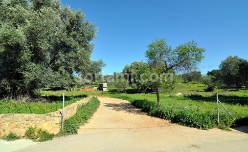 Land in Almancil, Algarve, Portugal 1
