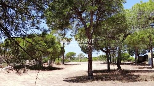 Land in Almancil, Algarve, Portugal 5 - 15546091