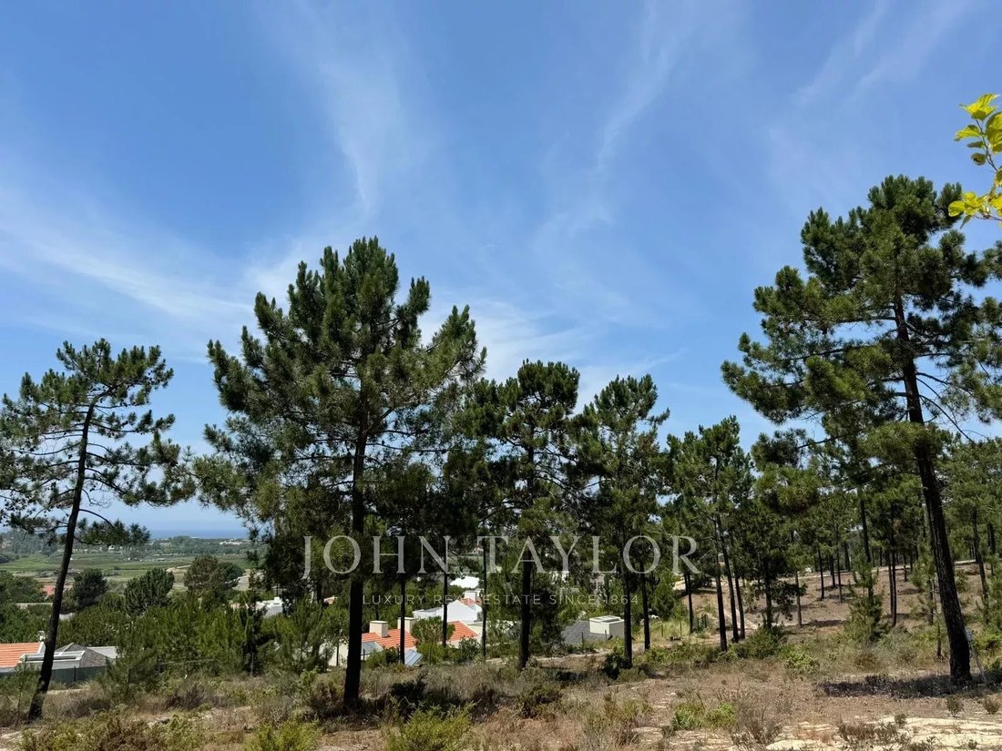 Land in Carvalhal, Setubal, Portugal 4 - 14844746