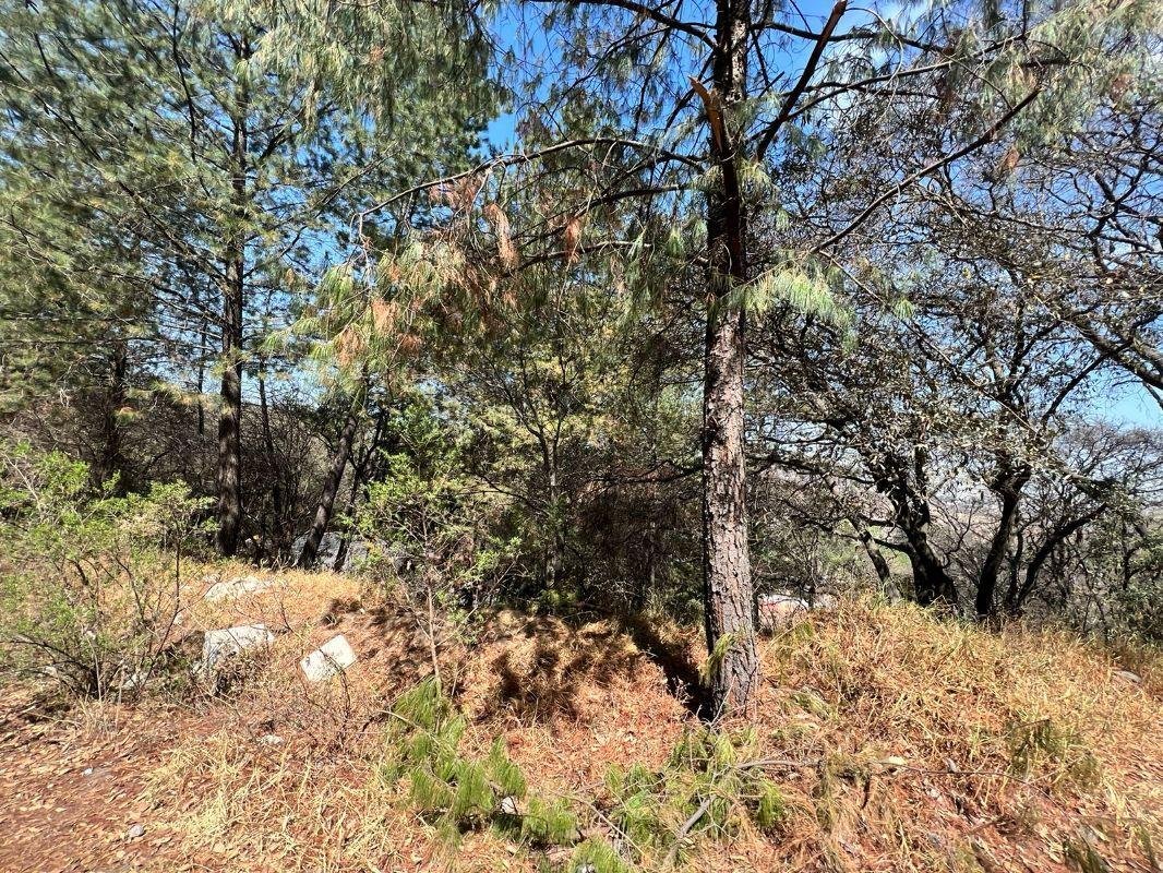Land in Ciudad López Mateos, State of Mexico, Mexico 4 - 13622538