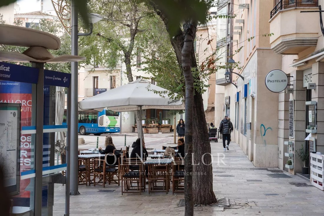 Palma, Balearic Islands, Spain 5 - 15037081