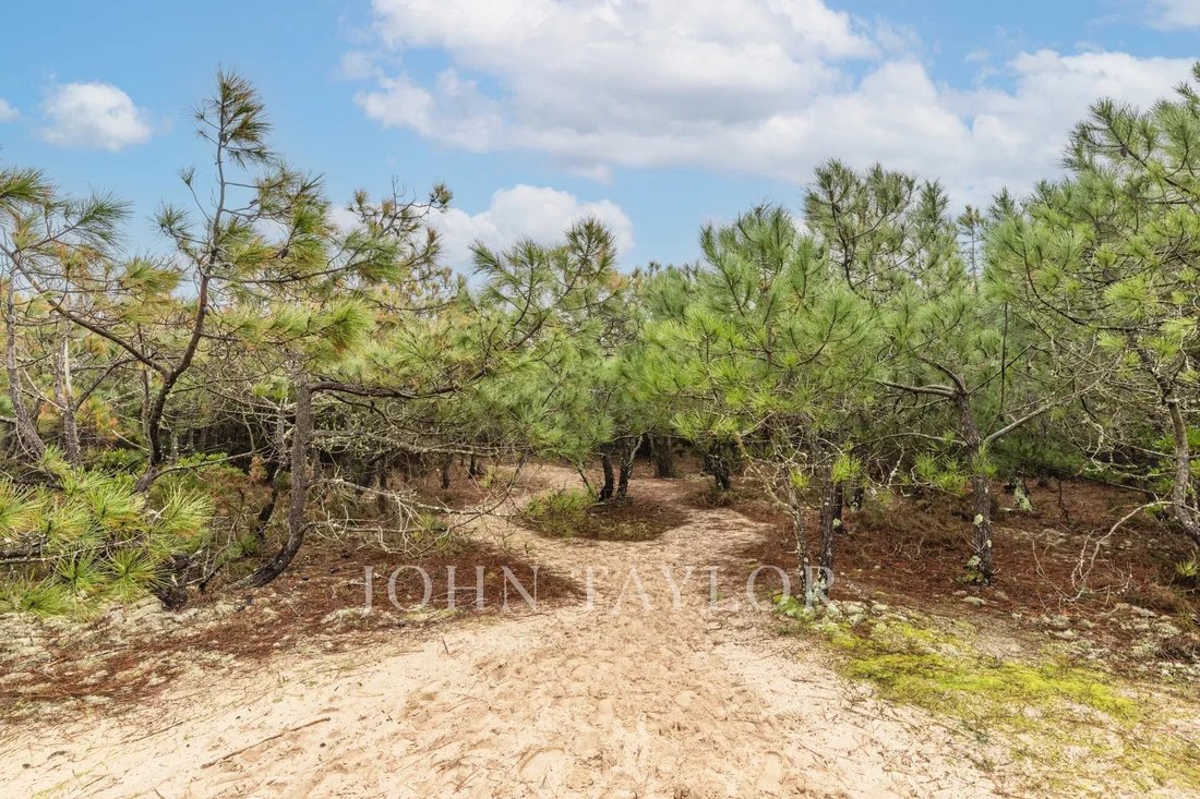 Villa in 33970 Le Cap-Ferret, Lège-Cap-Ferret, Nouvelle-Aquitaine 3 - 13957302