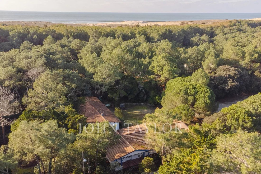 Villa in 33970 Le Cap-Ferret, Lège-Cap-Ferret, Nouvelle-Aquitaine 4 - 13957302