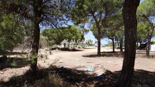 Land in Almancil, Algarve, Portugal 3 - 15546091