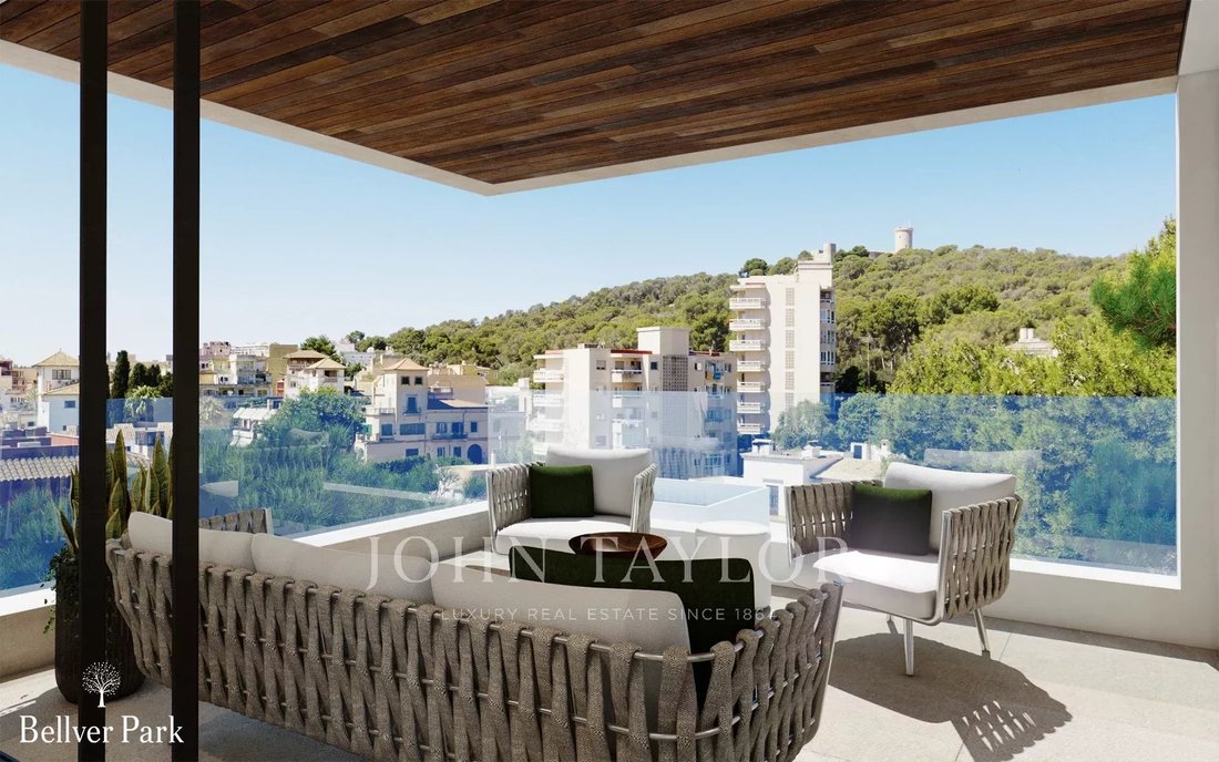 Palma, Balearic Islands, Spain 5 - 10952592