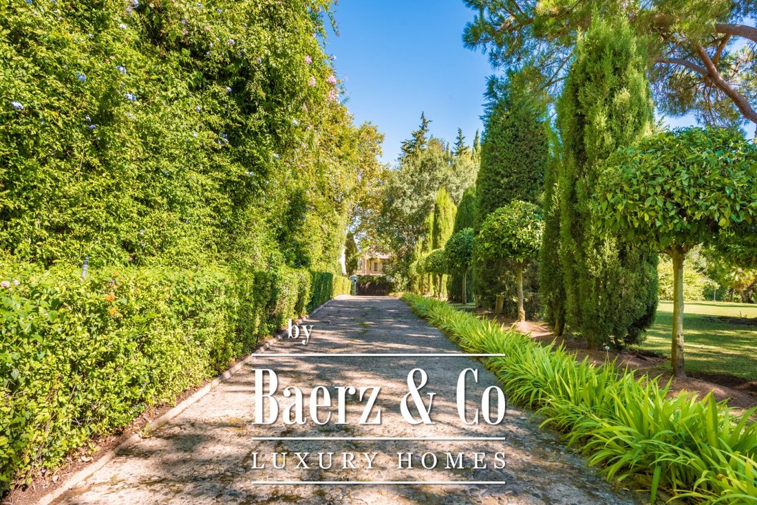 Villa in Sotogrande, San Roque, Andalusia 5 - 14015045