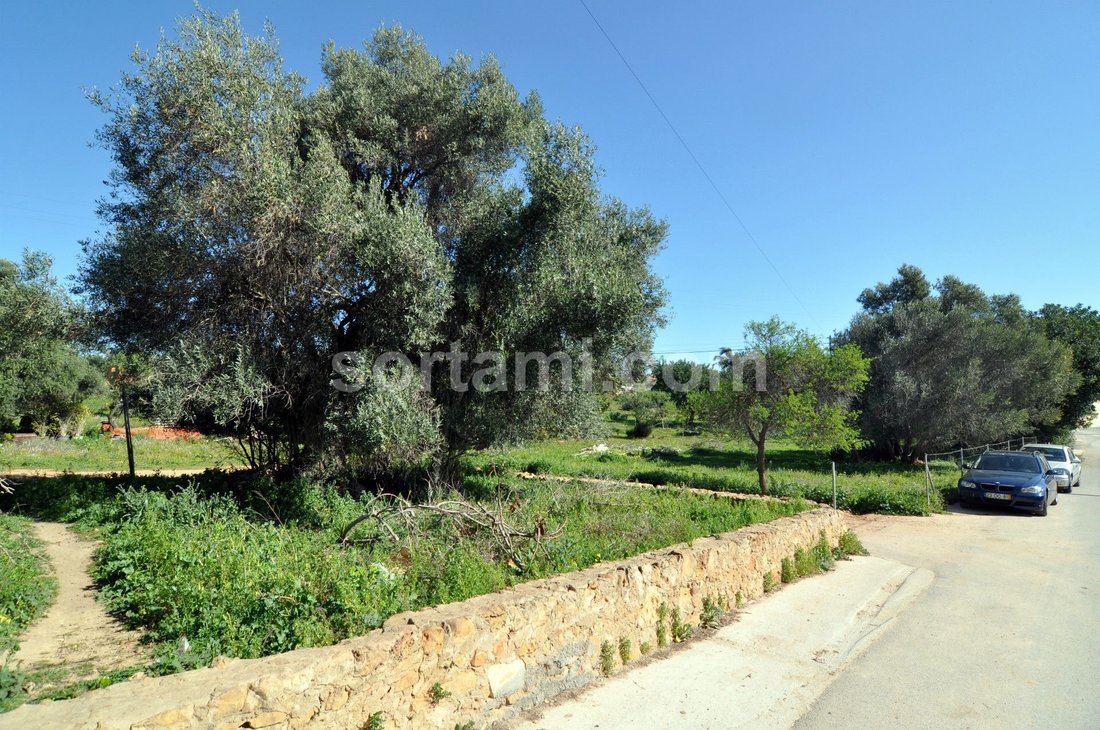 Land in Almancil, Algarve, Portugal 3 - 11344523