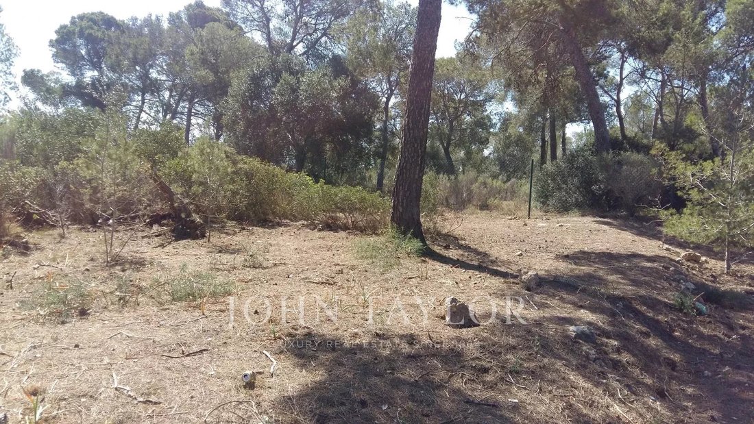 Land in Calvia, Balearic Islands, Spain 5 - 12042271