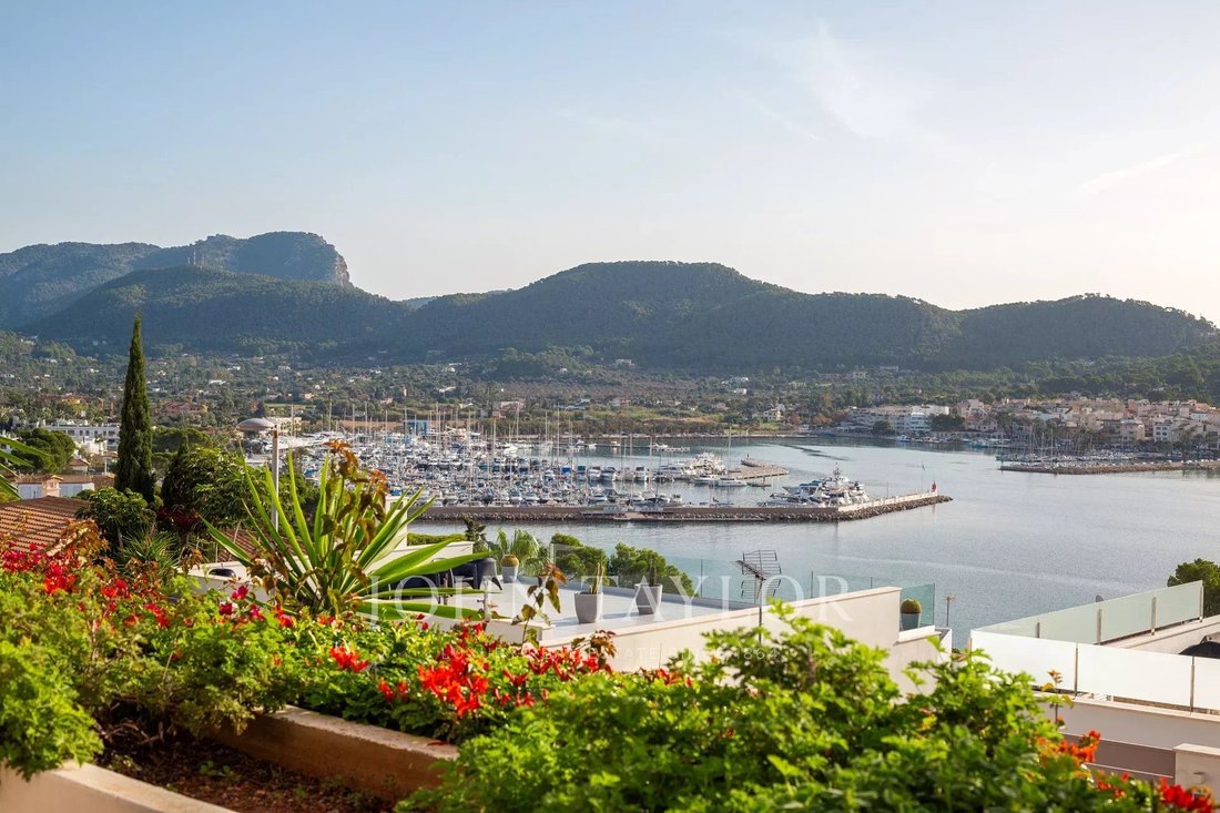 Apartment in Port d'Andratx, Andratx, Balearic Islands 1 - 15090651