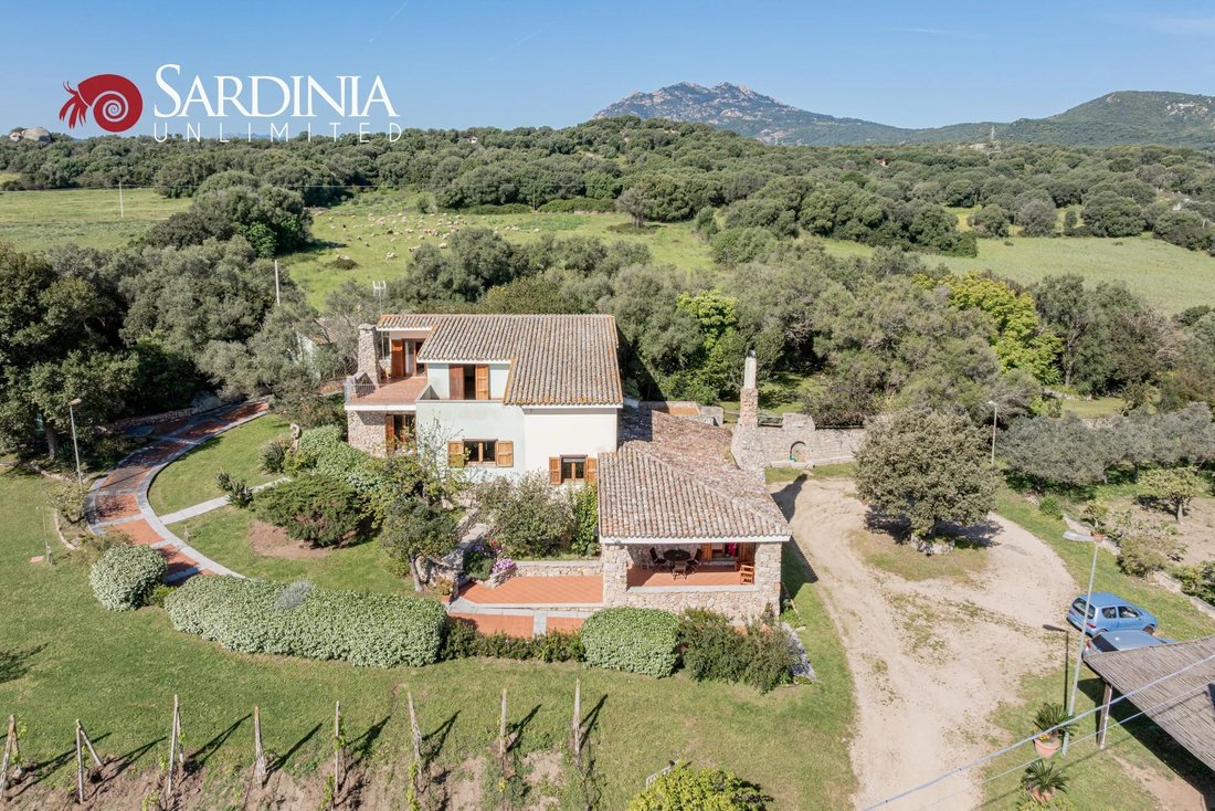 Villa in Peripheral Fractions, Olbia, Sardinia 4 - 15546432