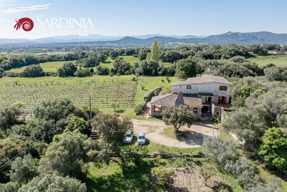 Villa in Peripheral Fractions, Olbia, Sardinia 3 - 15546432