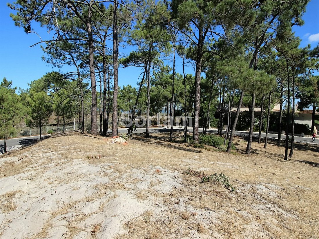 Land in Carvalhal, Setubal, Portugal 4 - 11344313