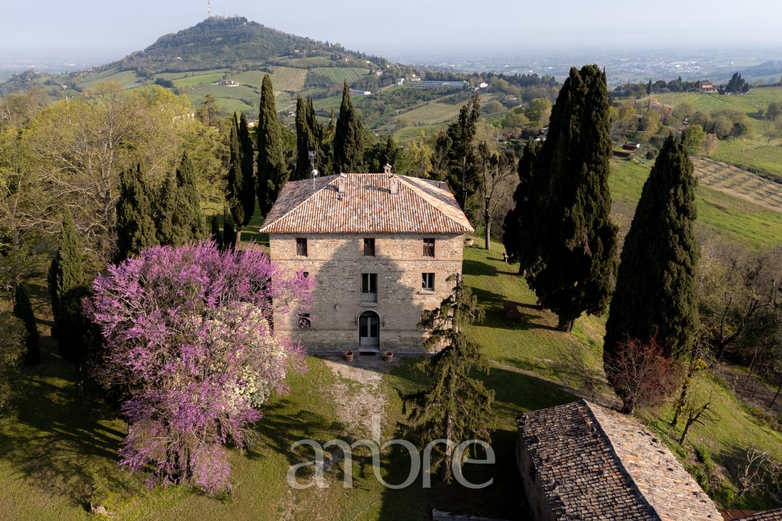 Villa in Bertinoro, Emilia-Romagna, Italy 3 - 15549165
