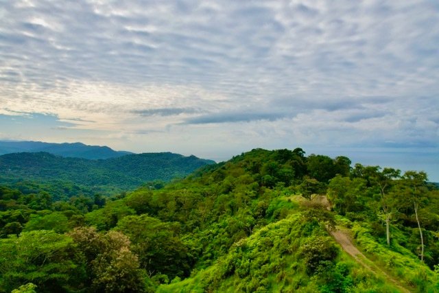 Land in Savegre de Aguirre, Puntarenas Province, Costa Rica 5 - 15546289