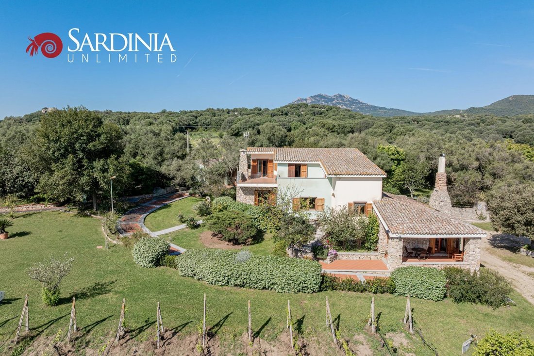 Villa in Peripheral Fractions, Olbia, Sardinia 2 - 15546432