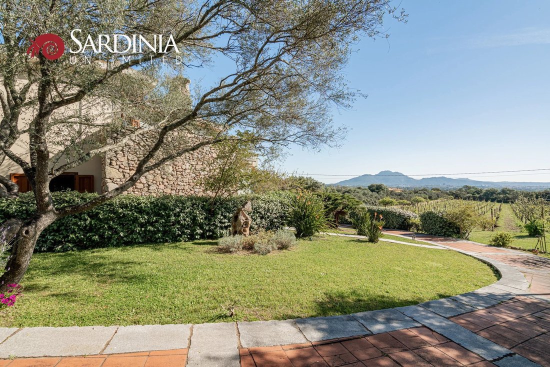 Villa in Peripheral Fractions, Olbia, Sardinia 5 - 15546432