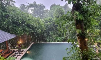 Estate in Tabanan Regency, Indonesia 2