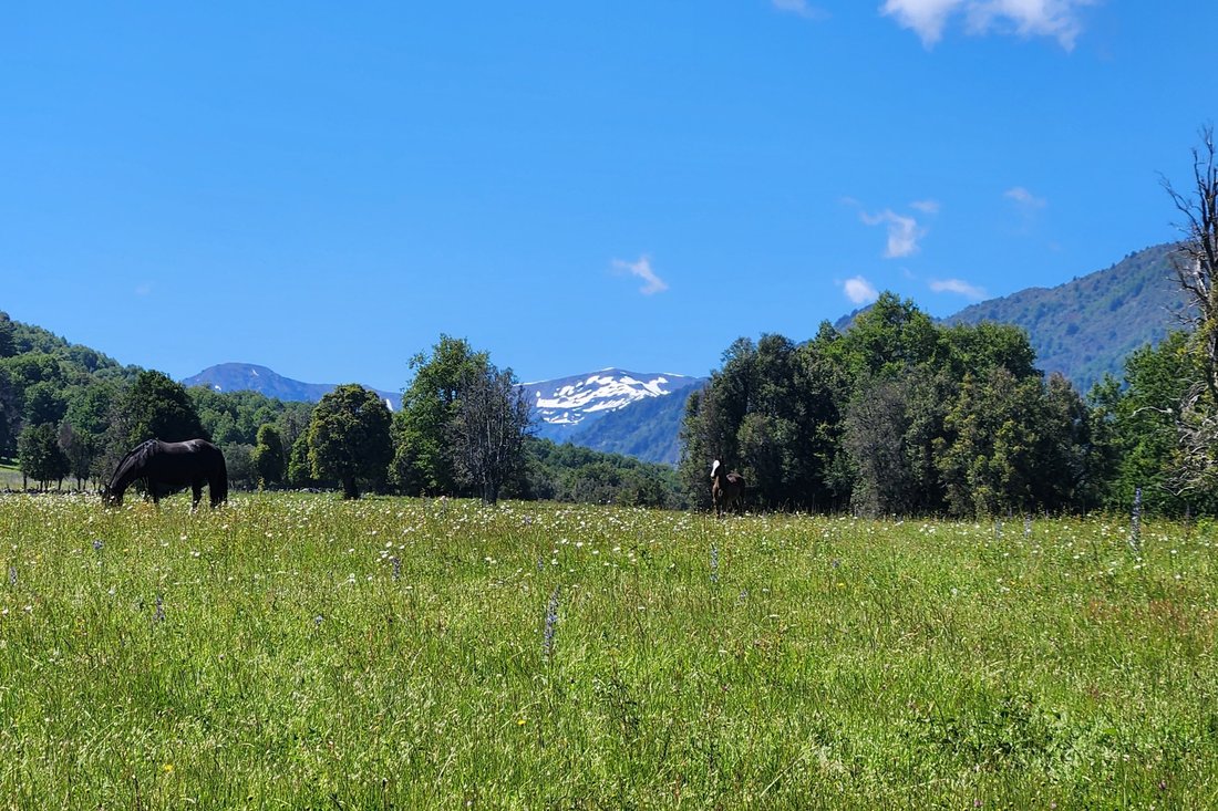 Farm Ranch in Curacautín, Araucania, Chile 5 - 11808235