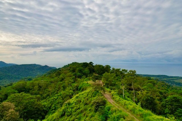 Land in Savegre de Aguirre, Puntarenas Province, Costa Rica 3 - 15546289