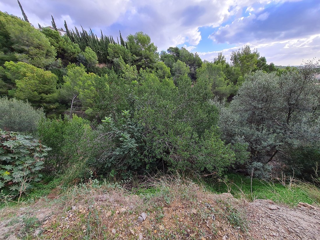 Terreno en Portals Nous, Calviá, Islas Baleares 5 - 15551189