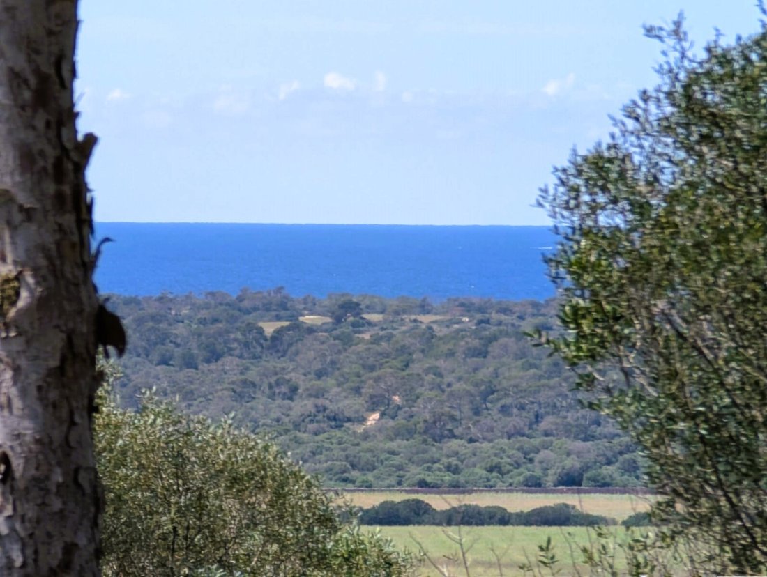 Land in Santanyi, Balearic Islands, Spain 1 - 15551193