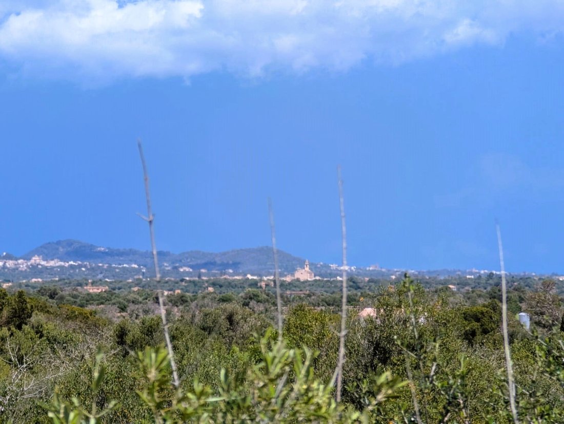 Land in Santanyi, Balearic Islands, Spain 4 - 15551193