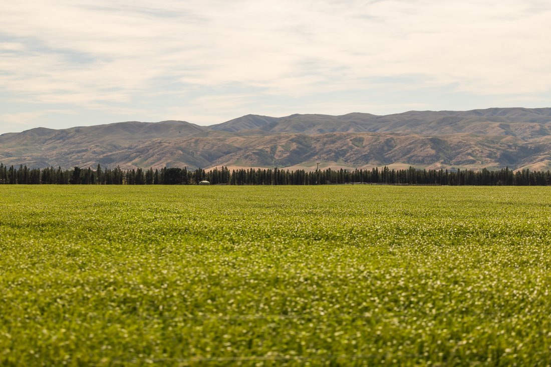Land in Pukerangi, Otago, New Zealand 5 - 15554277