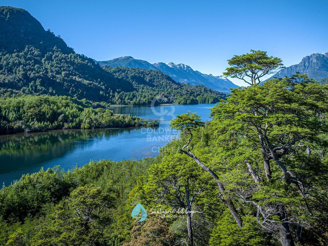 Land in Cisnes, Chile 3 - 15552026