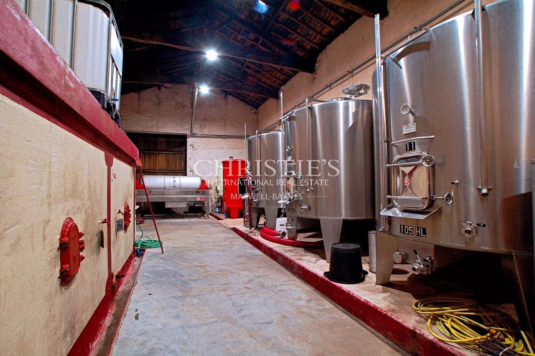 Farm Ranch in Blaye, Nouvelle-Aquitaine, France 4 - 15267469