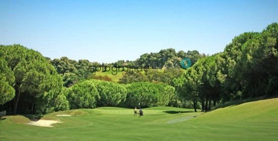 Land in Sotogrande, San Roque, Andalusia 1 - 15556558