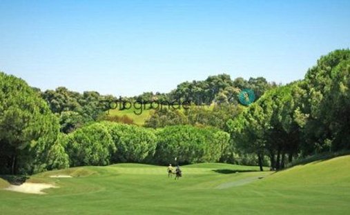 Terreno a Sotogrande, San Roque, Andalusia 1