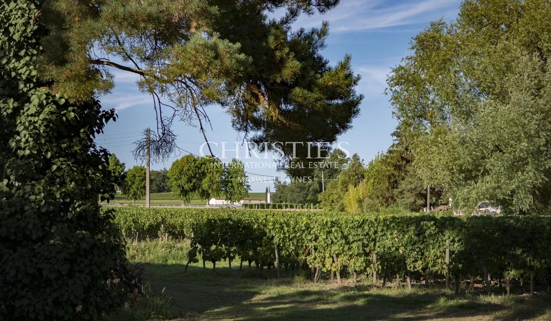 Farm Ranch in Branne, Nouvelle-Aquitaine, France 4 - 13714039
