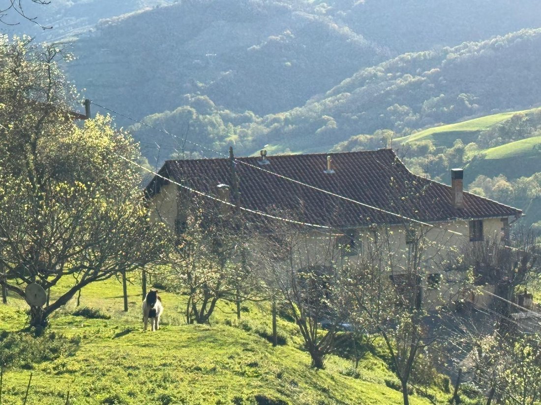 Country House in Aia, Basque Country, Spain 1 - 15560050