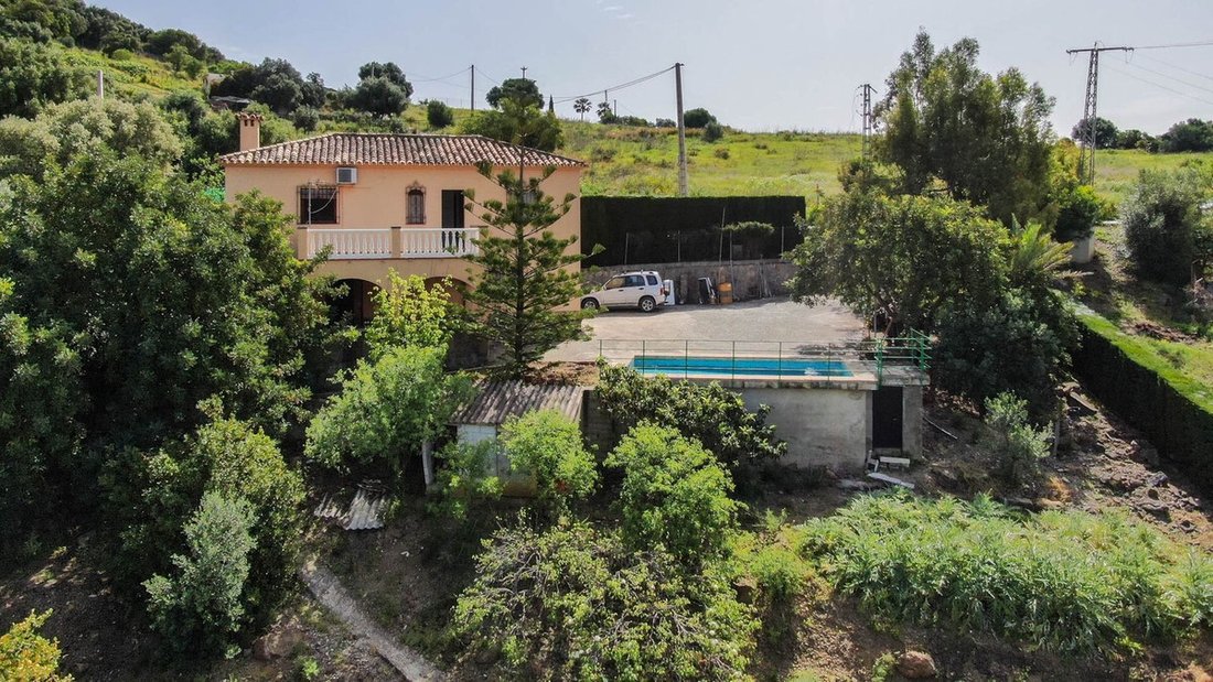 Finca in Estepona, Andalusia, Spain 1 - 15555620