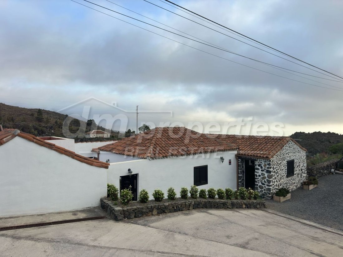Finca in Guia de Isora, Canary Islands, Spain 3 - 14815571
