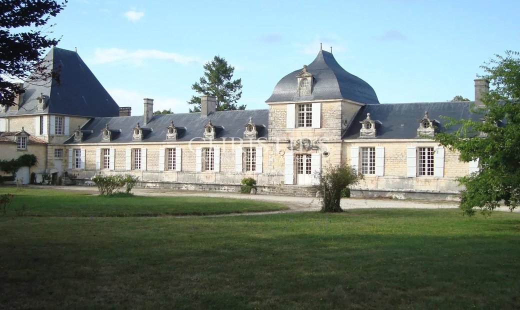 For Sale Magnificent 17th Century Château In Charente Maritime