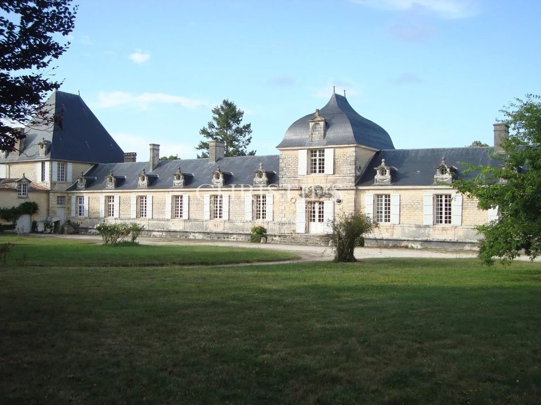 Castle in Est, Saint-Pierre-des-Corps, France 1 - 13714721