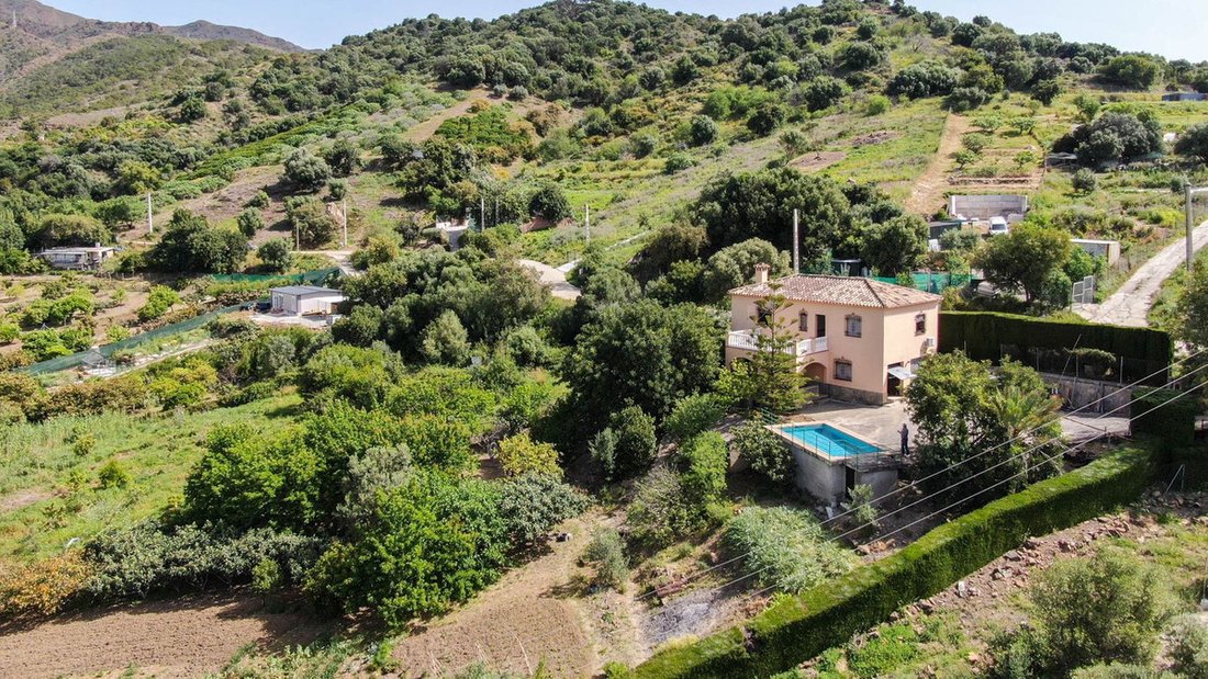 Finca in Estepona, Andalusia, Spain 5 - 15555620